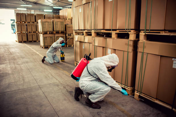 Best Wasp Removal Services  in Goldendale, WA