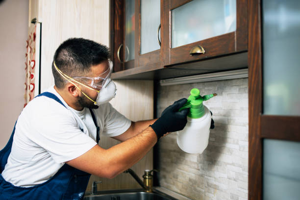Best Pest Control for Restaurants  in Goldendale, WA
