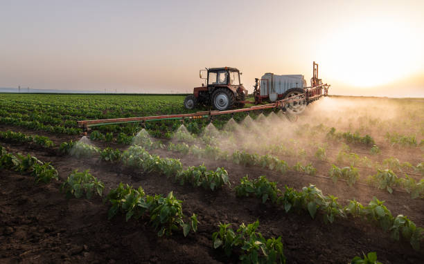 Best Local Pest Control Services  in Goldendale, WA