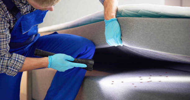 Best Affordable Pest Control Services  in Goldendale, WA