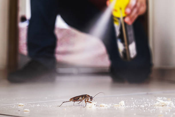 Best Affordable Pest Control Services  in Goldendale, WA