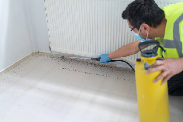Best Pest Prevention Services  in Goldendale, WA